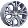 Arctic Grey