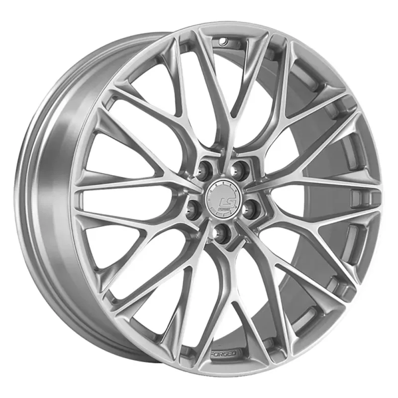 LS FG10 - SS